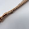 25mm Rose Gold Stainless Steel Strap Bracelet For Patek Philippe Nautilus details (2)